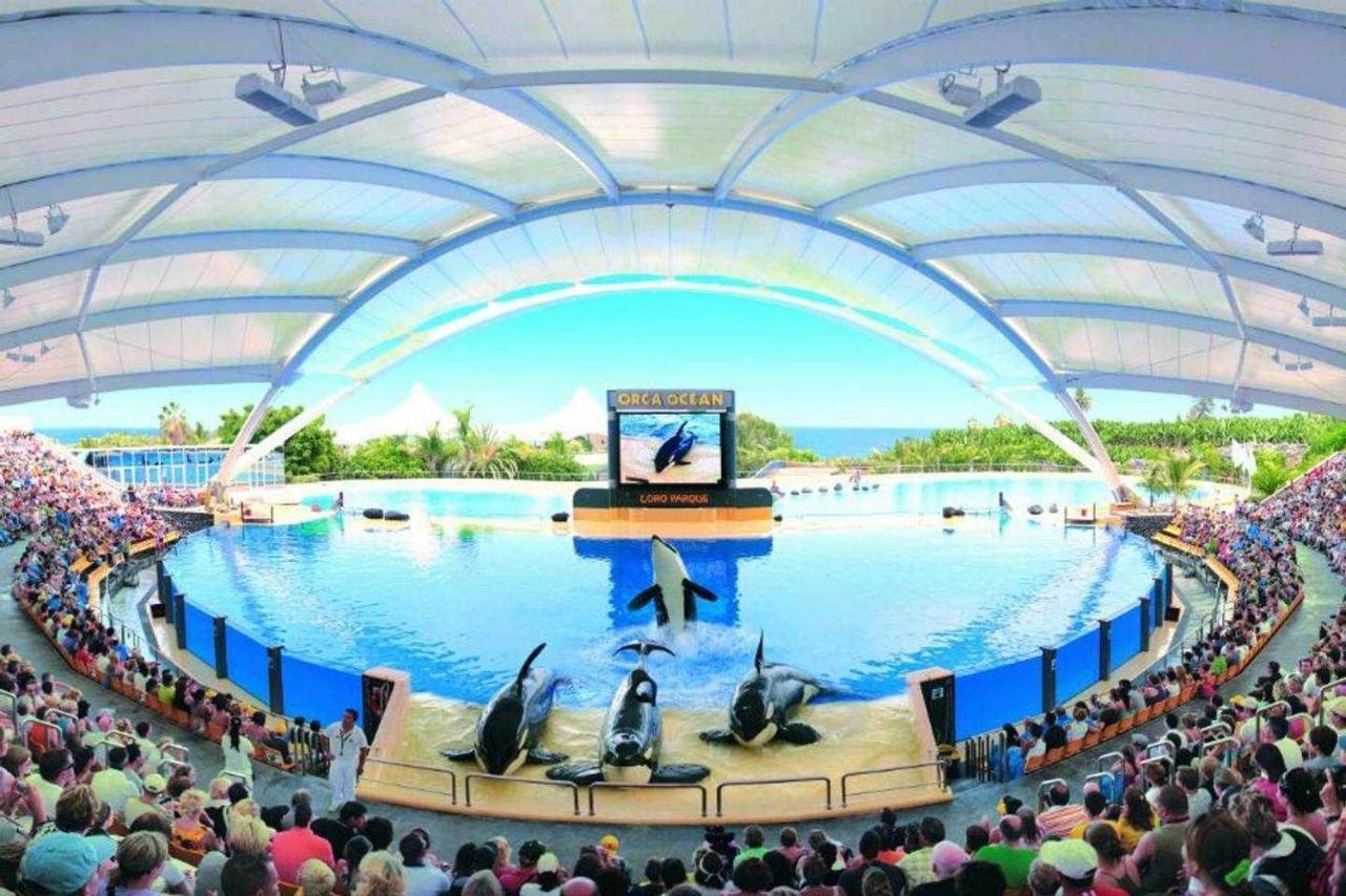 Vivienda Vacacional Con Vistas Al Teide Y Piscina بويرتو ذي لا كروز المظهر الخارجي الصورة